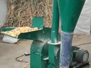 Yem,Arpa,Buğda,Taxıl, Qarğıdalı üyüdən