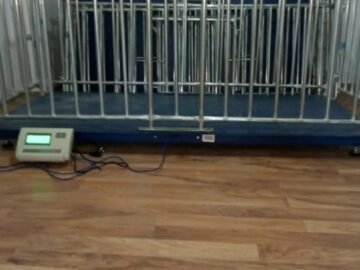 Elektron qapan tərəzi