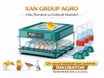 Tam avtomat inkubatorlar.